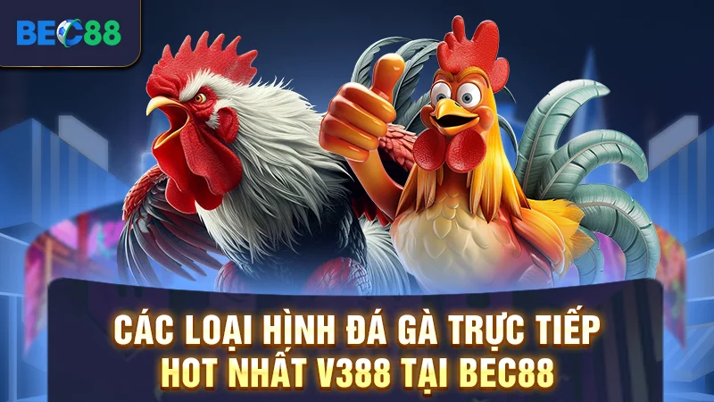 Các loại hình đá gà trực tiếp hot nhất V388 tại BEC88