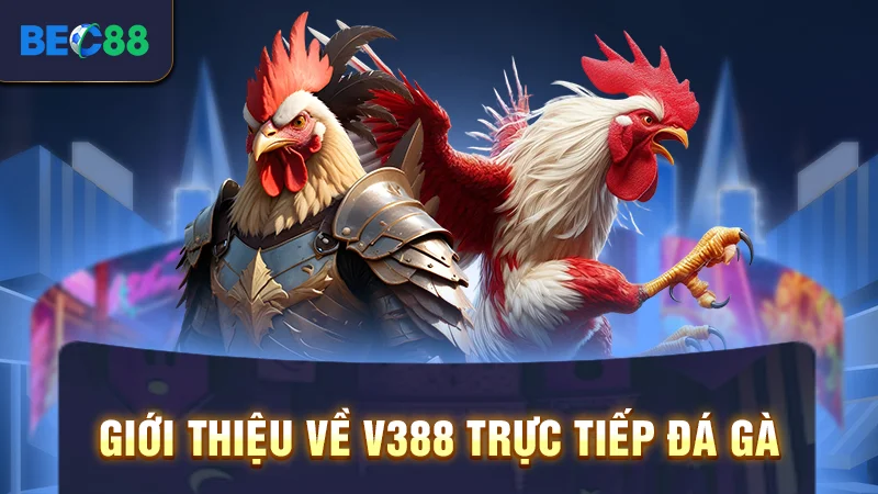 Giới thiệu về V388 trực tiếp đá gà