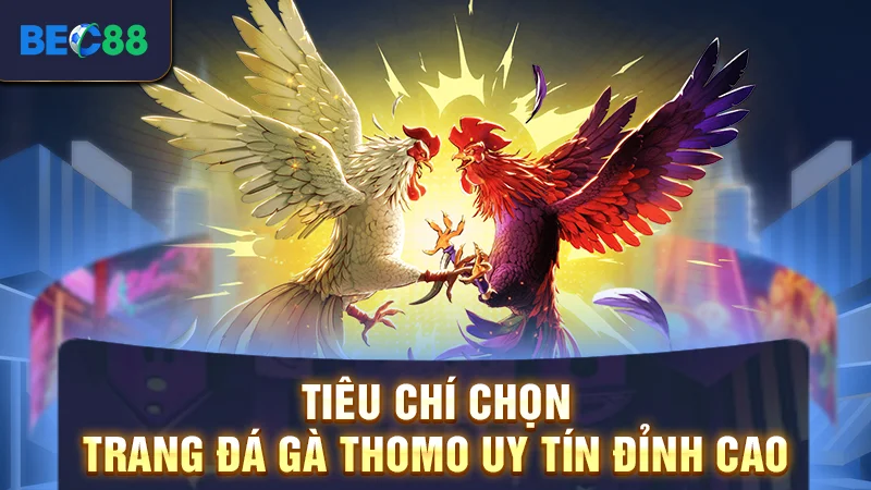 Tiêu chí chọn trang đá gà Thomo uy tín đỉnh cao