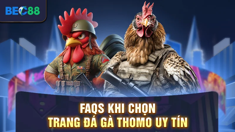FAQs khi chọn trang đá gà Thomo uy tín