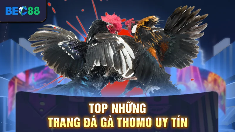 Top những trang đá gà Thomo uy tín